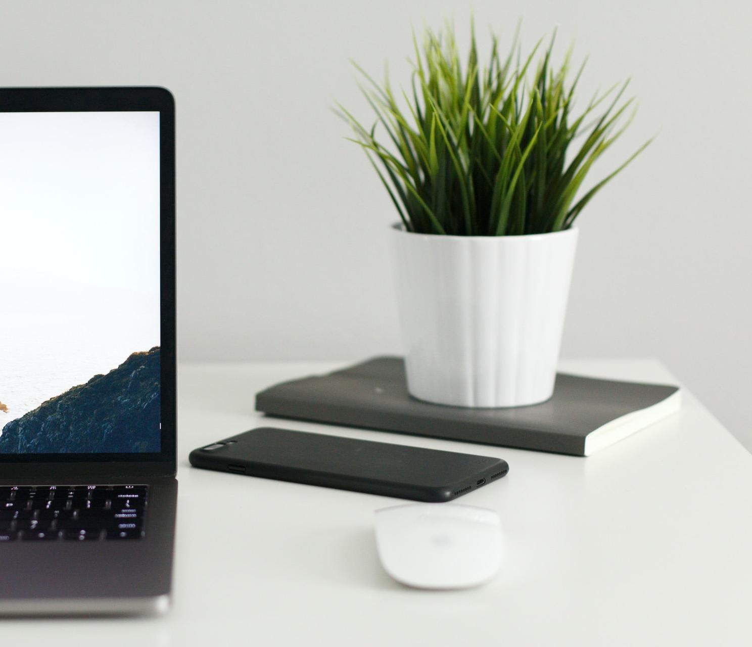 MacBook Pro near green potted plant on table